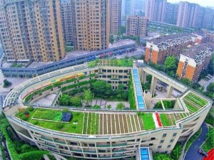 <p>Bringing Chinese cities, provinces, and businesses more forcefully into transnational climate action networks is just one way China could demonstrate leadership (Image: weibo)</p>