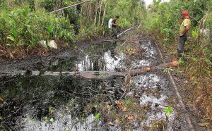 <p>Oil spill in Lot 8 where PetroChina has held a 45% stake since 2003 (Image: ACODECOSPAT)</p>