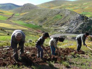 farmers working on small farm in Peru