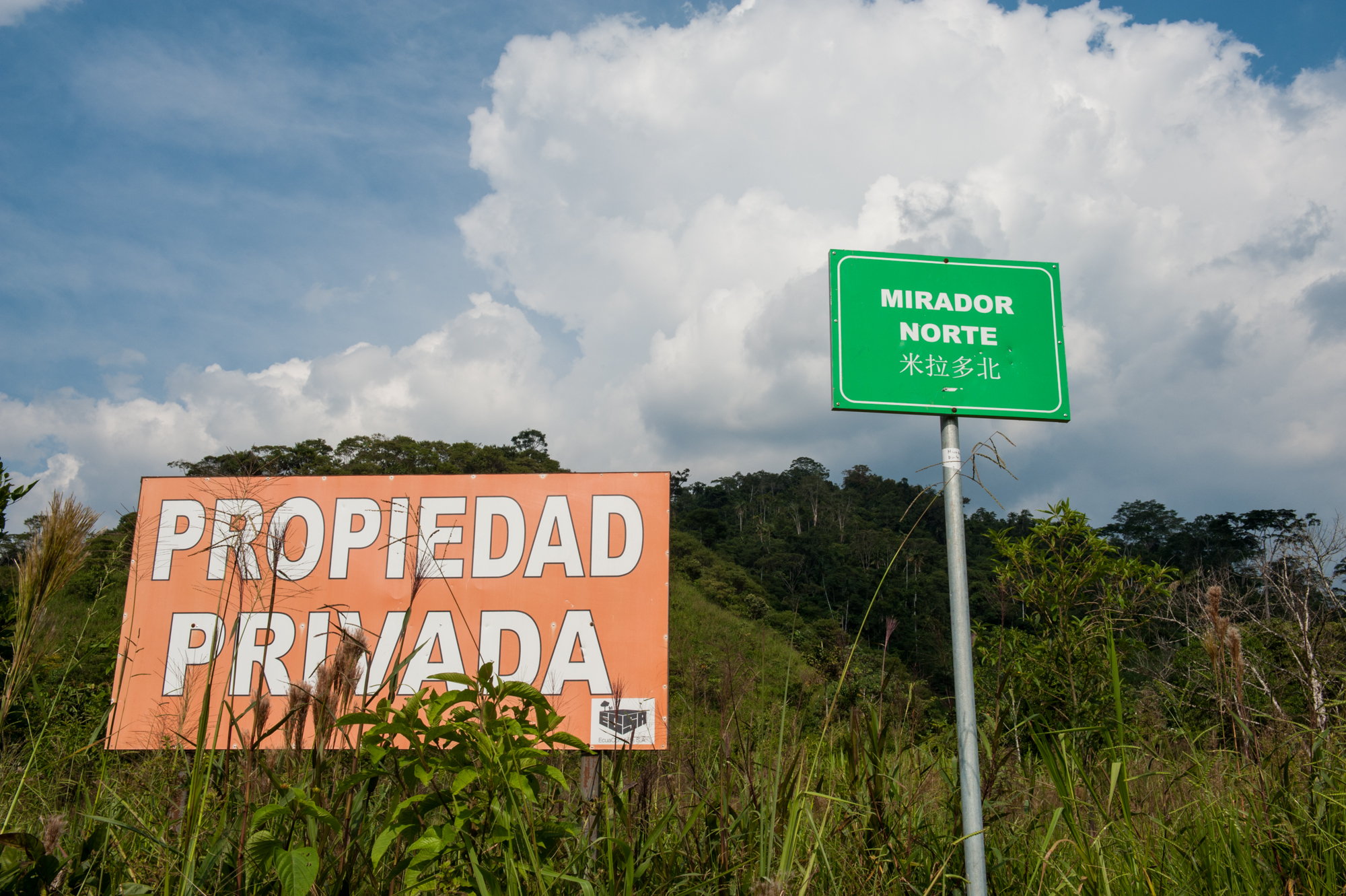 <p>The Mirador copper mining project in Ecuador&#8217;s richly biodiverse Cordillera del Condor is under the control of Chinese state-owned companies (Image by Acci&oacute;n Ecol&oacute;gica)</p>