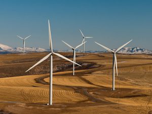 green finance, wind farm