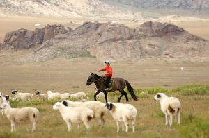 <p>上世纪三十年代的日本畜牧改革实验改变了内蒙古的草原生态。图片来源：<a href="https://pixabay.com/en/mongolia-horse-rider-boy-animals-419875/">elbrus</a></p>