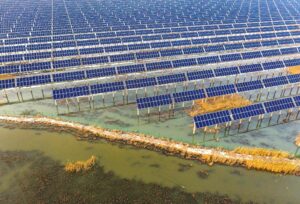 <p>建在大庆草原上的太阳能发电站。图片来源：Alamy</p>