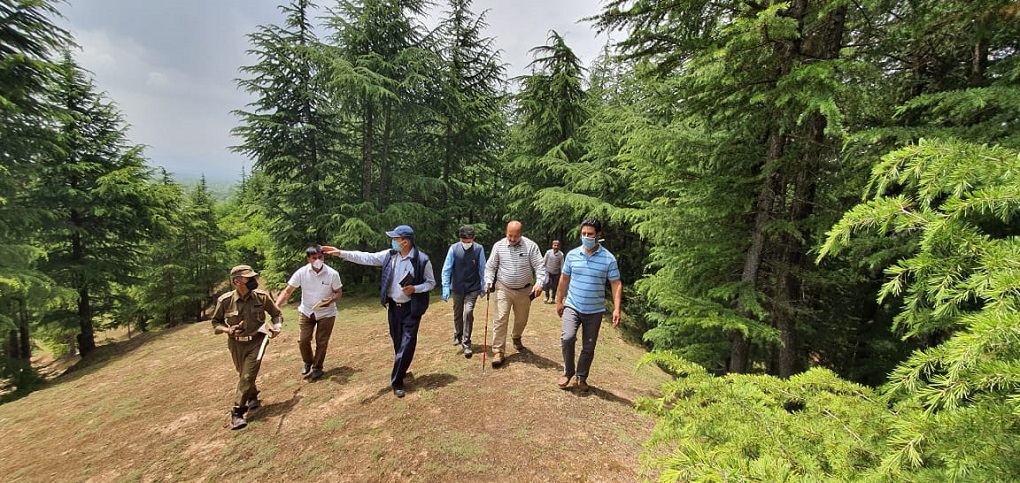 Kashmir's Chief Conservator of Forests, Farooq Gillani, conducts inspection of South Kashmir forests after many complaints of timber smuggling [image courtesy: Jammu and Kashmir Department of Information and Public Relations]