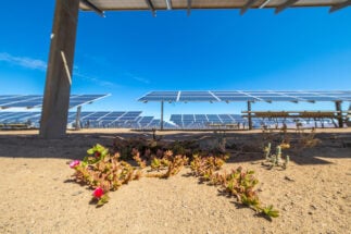 <p>Planta de energía solar Amanecer Solar CAP en el desierto de Atacama, Chile (Imagen: Alamy)</p>