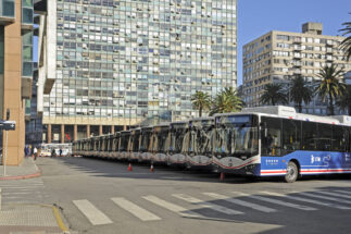 <p>Os ônibus elétricos chineses chegam a Montevidéu, Uruguai (Imagem: Presidencia de la República Oriental del Uruguay)</p>