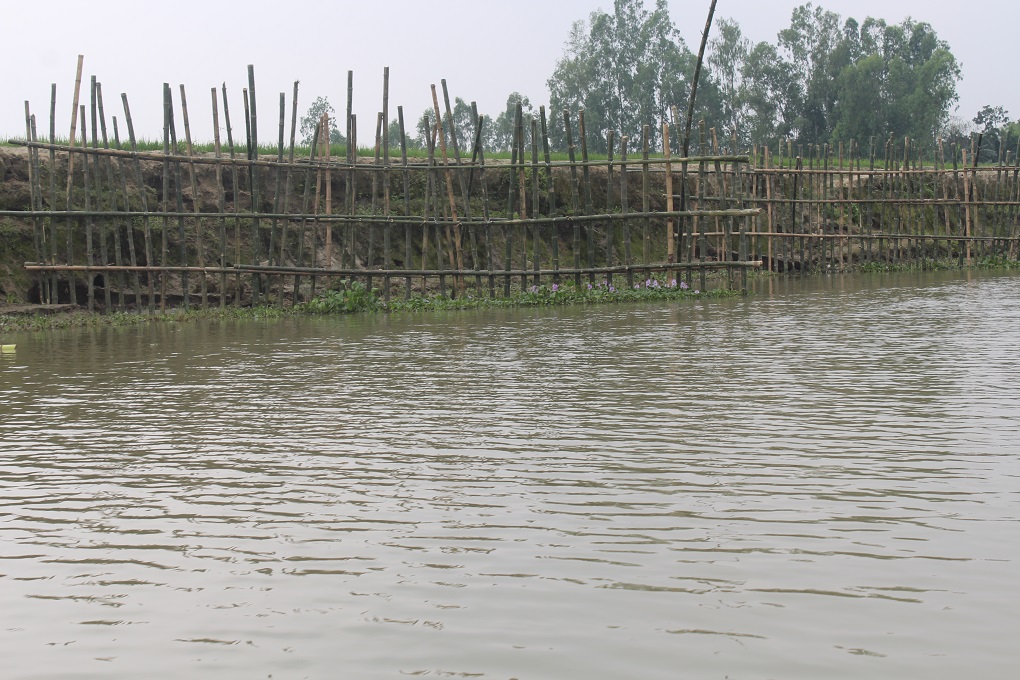 A "bandal" of bamboo keeps the locals safe from the wrath of the river [image by: Munir Hossain]