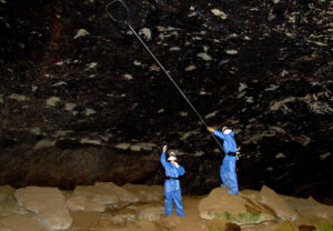 <p>科学家在洞穴收集蝙蝠样本。图片来源：Alamy</p>
