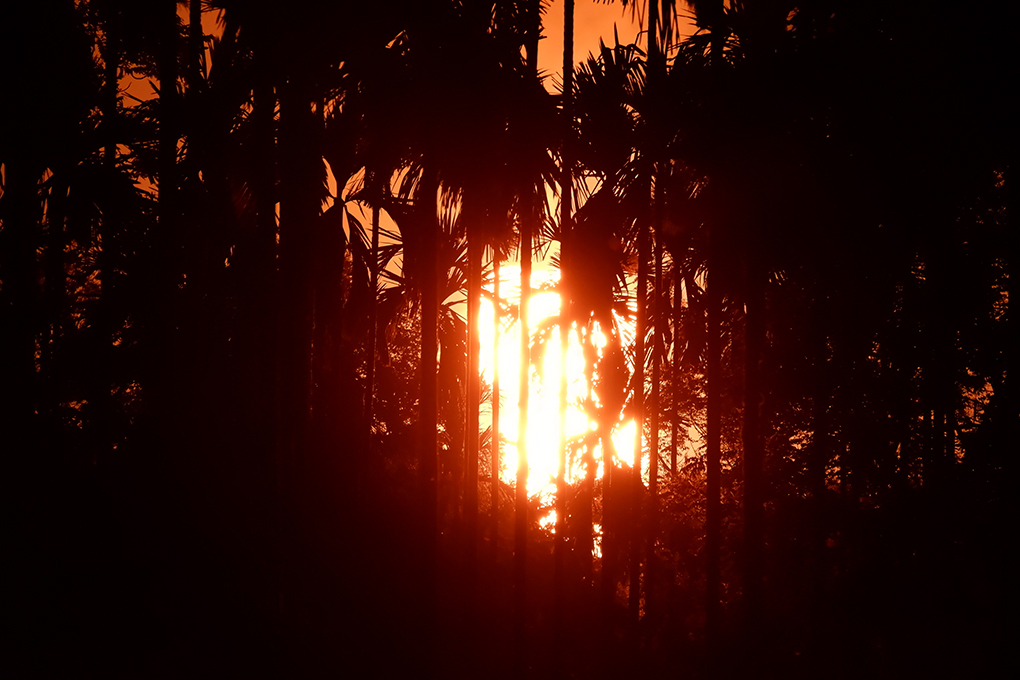 <p>The blaze at the Baghjan gas well, still out of control [image by: Chandrani Sinha]</p>