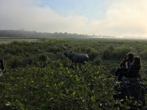 <p>Tourists riding on an elephant take photos of rhinos in Kaziranga in Nov 2019 [image by: Sadiq Naqvi]</p>