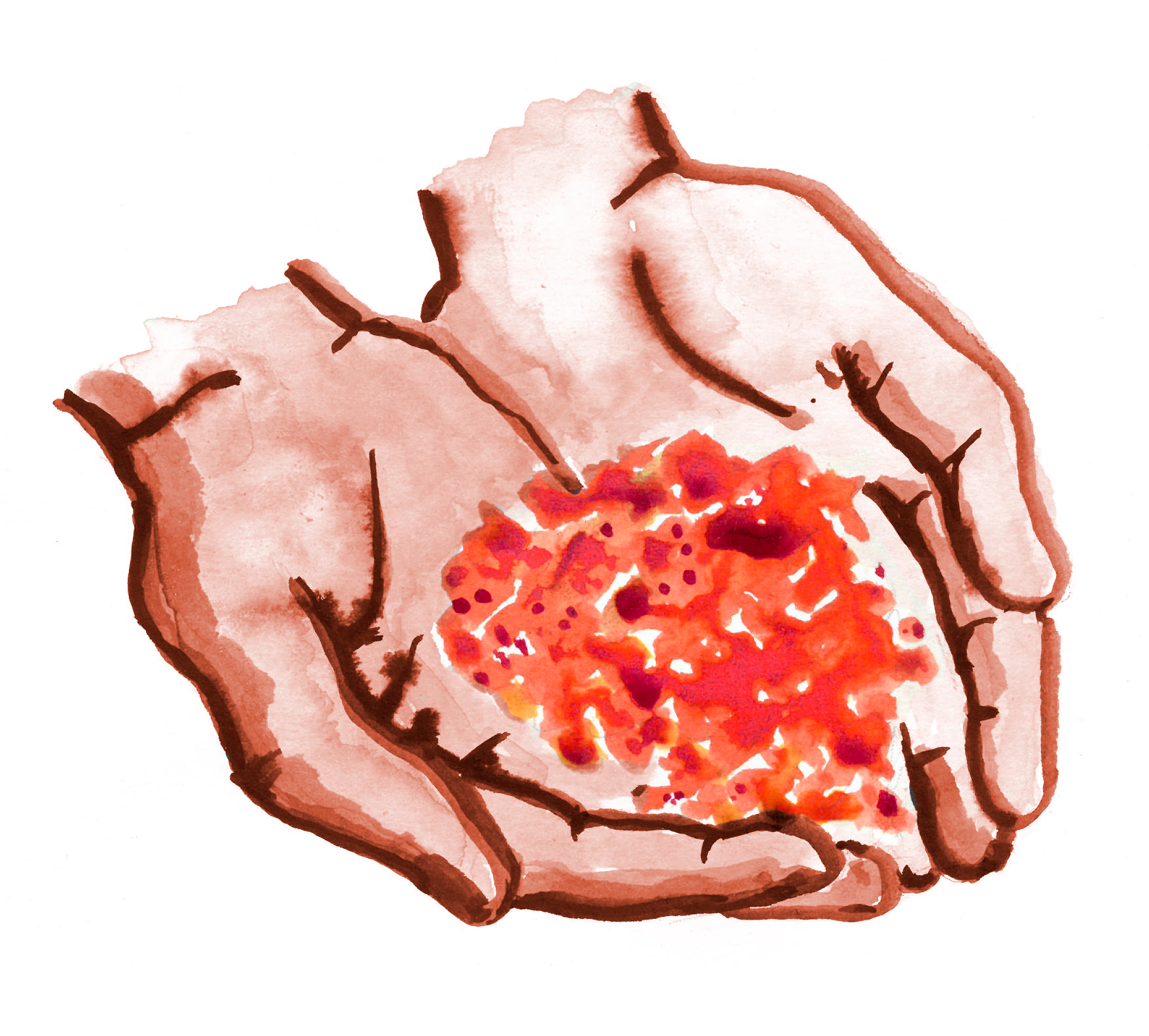 hands cupping seeds, illustration by Anna Schlimm