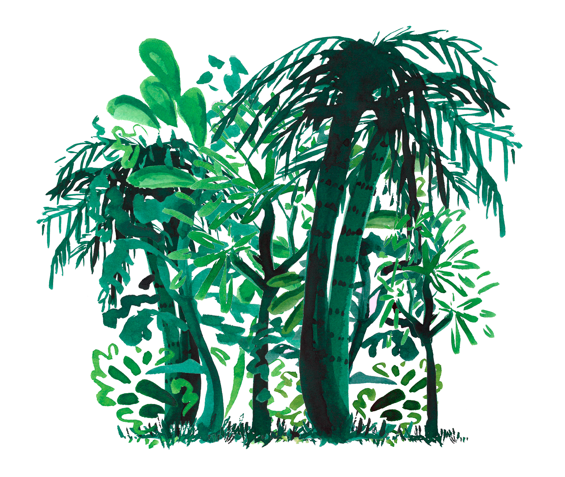 nature-based solutions: planting forests, illustration by Anna Schlimm