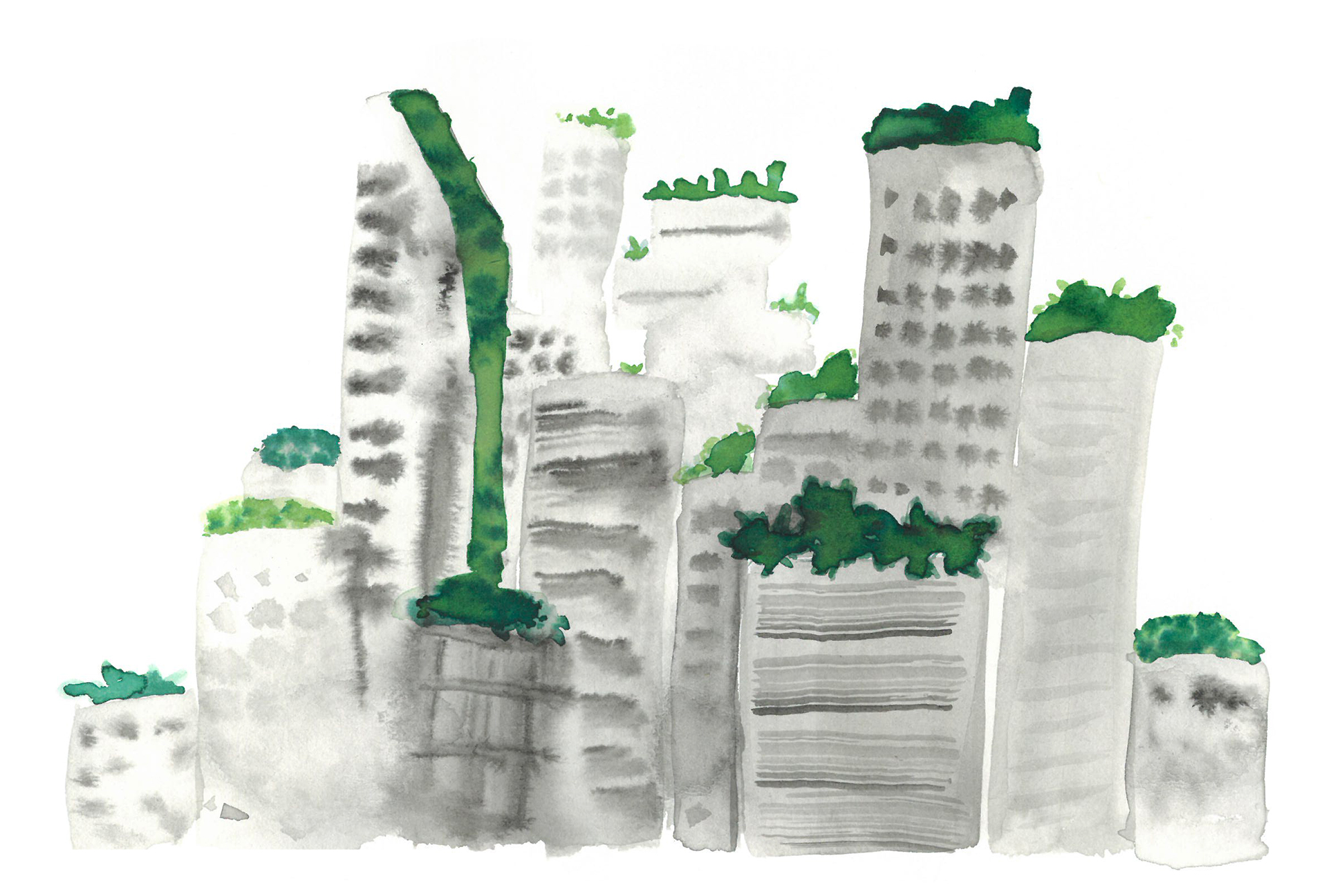 sponge city, illustration by Anna Schlimm