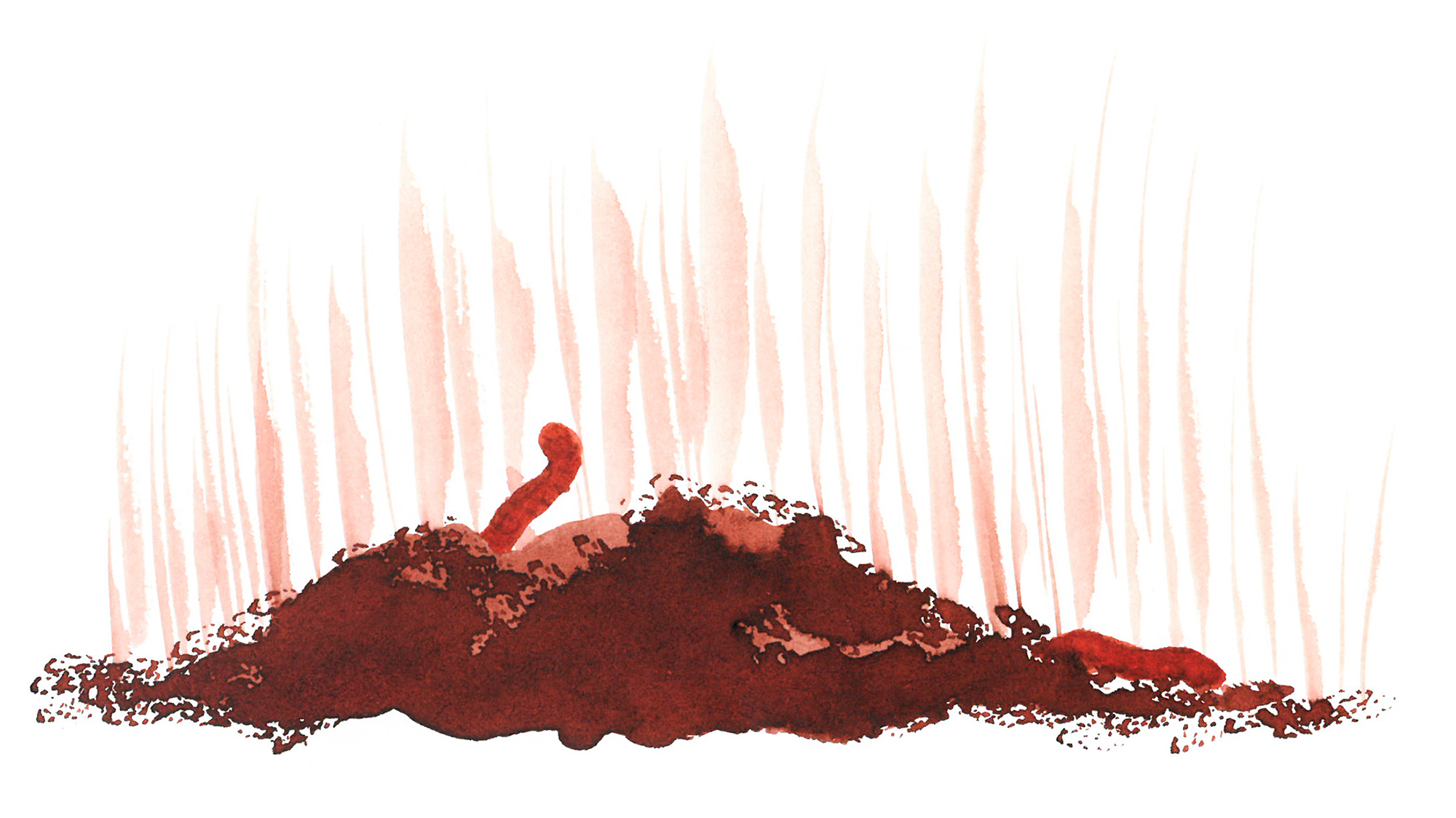 worm in a mound of earth, illustration by Anna Schlimm