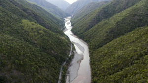 <p>云南的恐龙河自然保护区是极度濒危的绿孔雀的最后栖息地。图片来源 © Wei Li / Greenpeace</p>