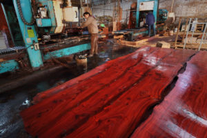 <p>浙江家具厂内，工人正在切割来自非洲来的红木。图片来源 © Lu Guang / Greenpeace</p>