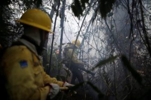 <p>消防员在巴西亚马逊州的阿普伊救火。图片来源：Alamy</p>