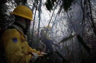 <p>Los miembros de una brigada de bomberos intentan controlar puntos calientes en un tramo de la selva amazónica cerca de Apui, estado de Amazonas. (Imagen: Ueslei Marcelino/Reuters)</p>