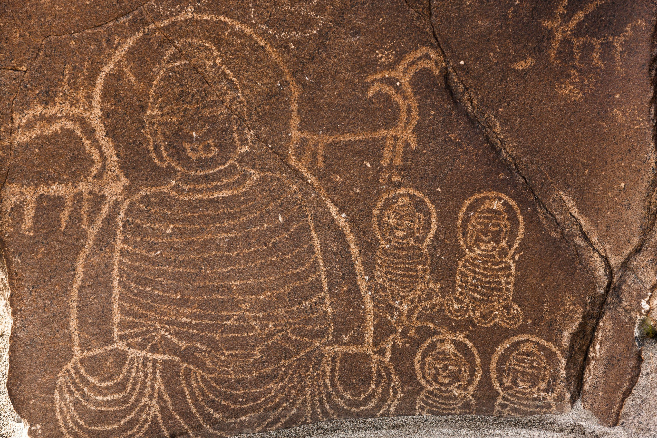 <p>One of the many ancient rock carvings that will be submerged by the Diamer Basha dam in Gilgit-Baltistan, Pakistan [Image by:  Gulraiz Ghouri]</p>