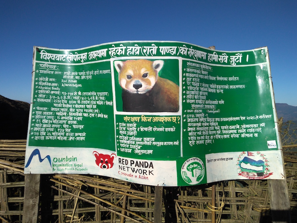 Red Panda Network conservation banner, Jaubari, Nepal, Sangay Tamang