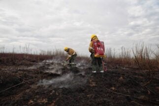 <p>Brigadistas combaten el fuego en el delta del Río Paraná (imagen: Ministerio de Ambiente)</p>
