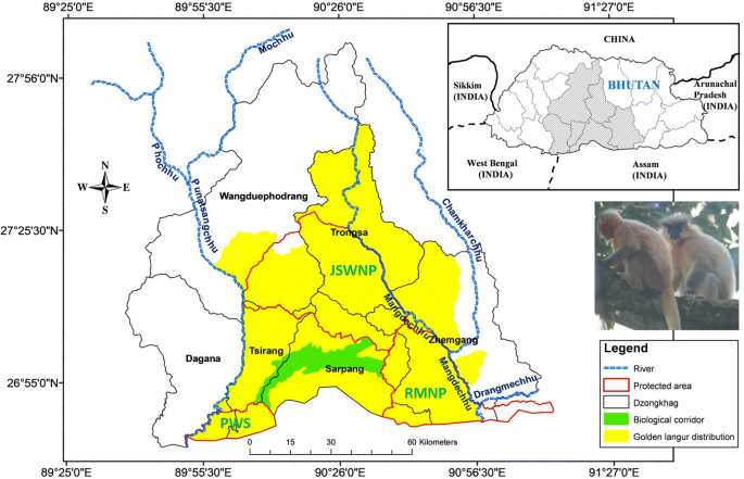 Map of golden langur distribution in Bhutan [source: Thinley et al. 2019]