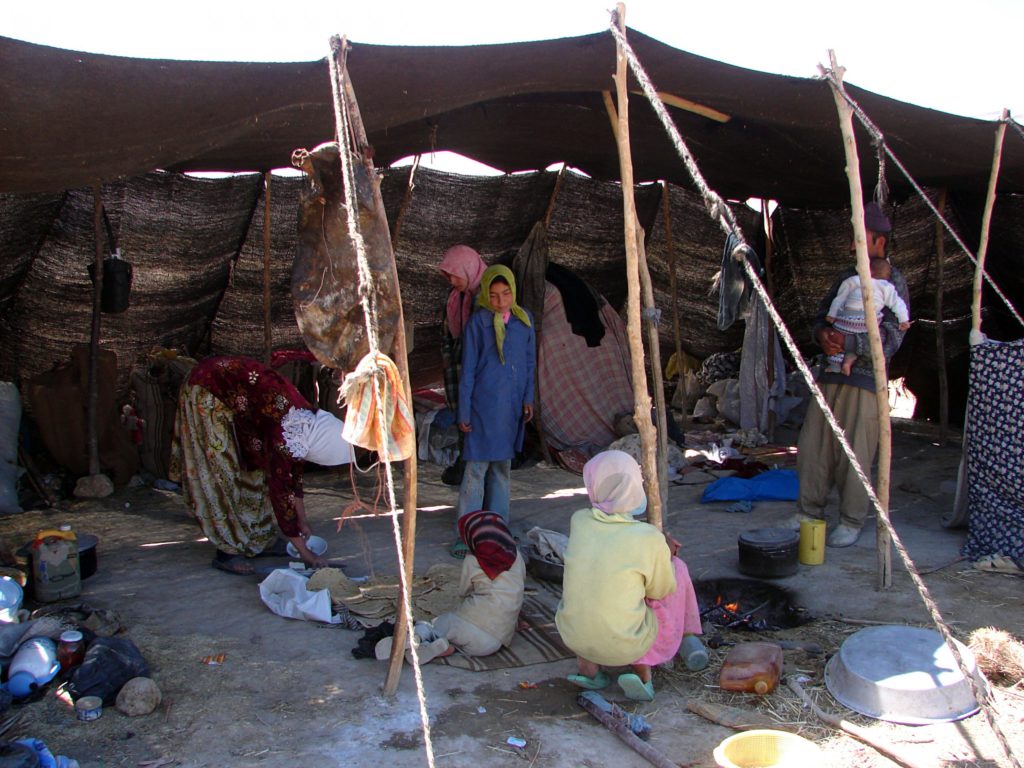 Bakarwals erect temporary villages in low-lying areas during the winter [image by: Professor Mohammad Nafees]