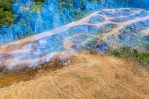 <p>An aerial view of tropical rainforest deforestation to clear land for oil palm plantations (Image: RDW Aerial Imaging /Alamy)</p>