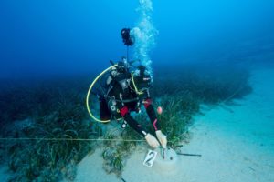 <p>一名海洋科学家在土耳其的卡斯-凯科瓦海洋保护区进行海草修复工作。海底草甸只覆盖了0.1%的海底面积，但却储存了全球18%的海洋碳。图片来源: Alamy</p>