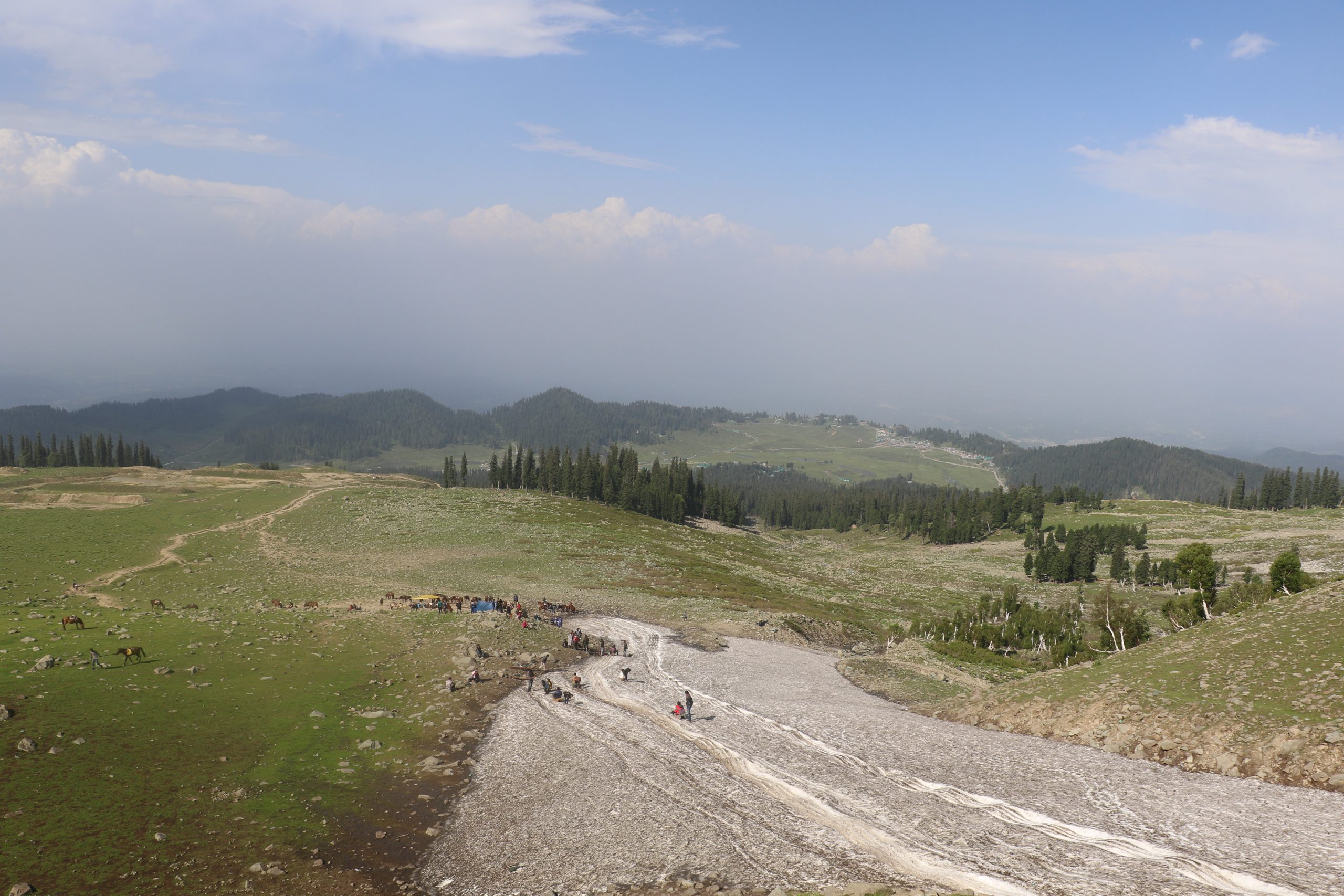 Khilanmarg meadow at Gulmarg where tourists visit and medicinal plants have vanished [image by: Mudassir Kuloo]