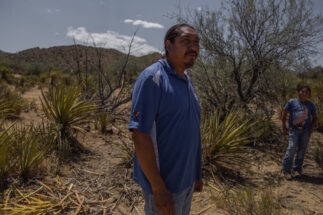 <p>Elías Espinoza lamenta los daños a la planta de yuca provocados por la tala ilegal (imagen: Omar Martínez)</p>