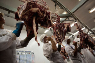 men working at a slaughterhouse in Mato Grosso state, Brazilo