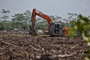 <p>开凿机在印尼西加里曼丹省挖掘富含泥炭的湿地。图片来源: © Ulet Ifansasti / Greenpeace</p>