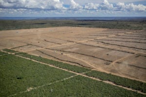Deforestation for the production of soy in the Cerrado region of Brazil