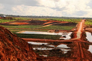 <p>Korindo旗下的种植园公司Papua Agro Lestari在巴布亚省造成的毁林。图片来源：敬畏地球</p>