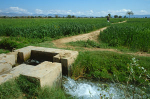 Irrigation Punjab Pakistan, Charles Bowman / Alamy