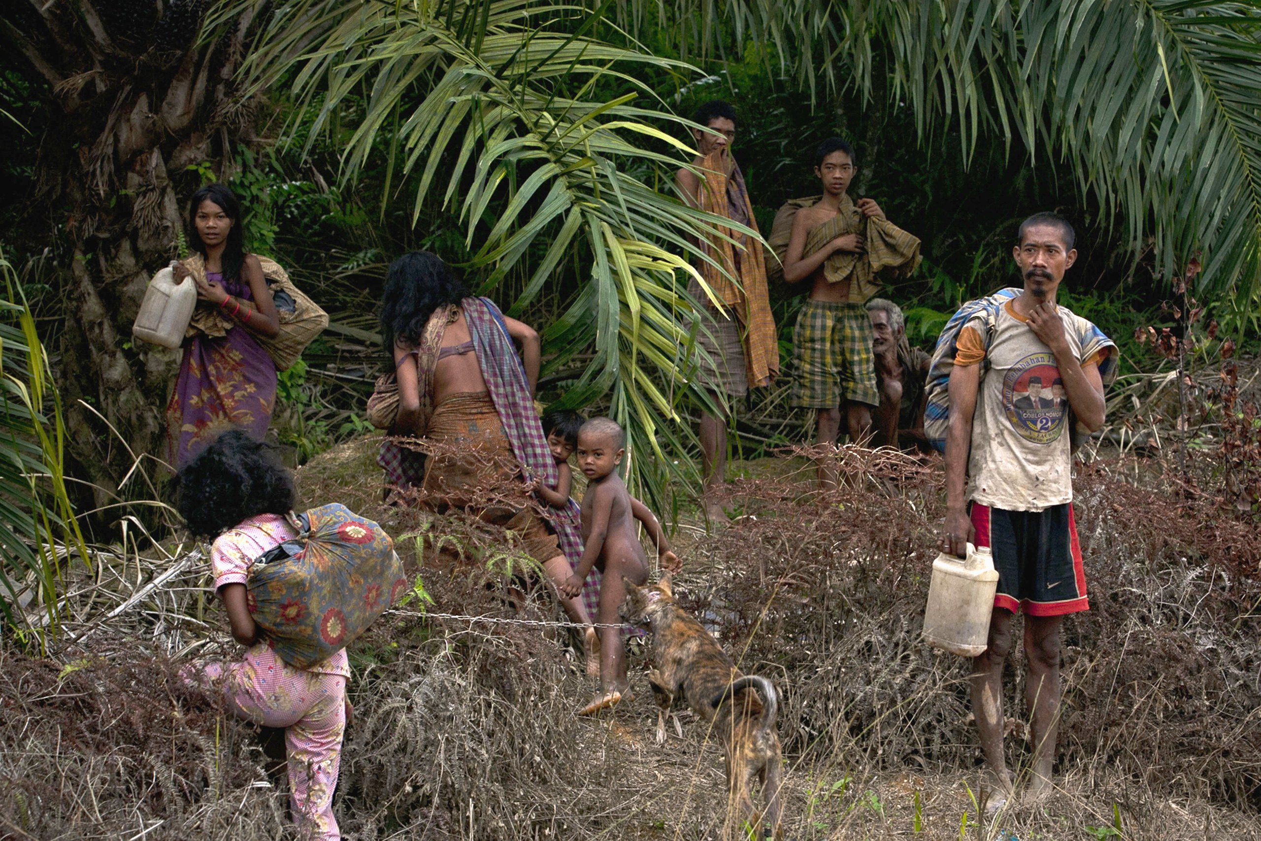 Southeast Asia s Hunter gatherers And Palm Oil Dialogue Earth