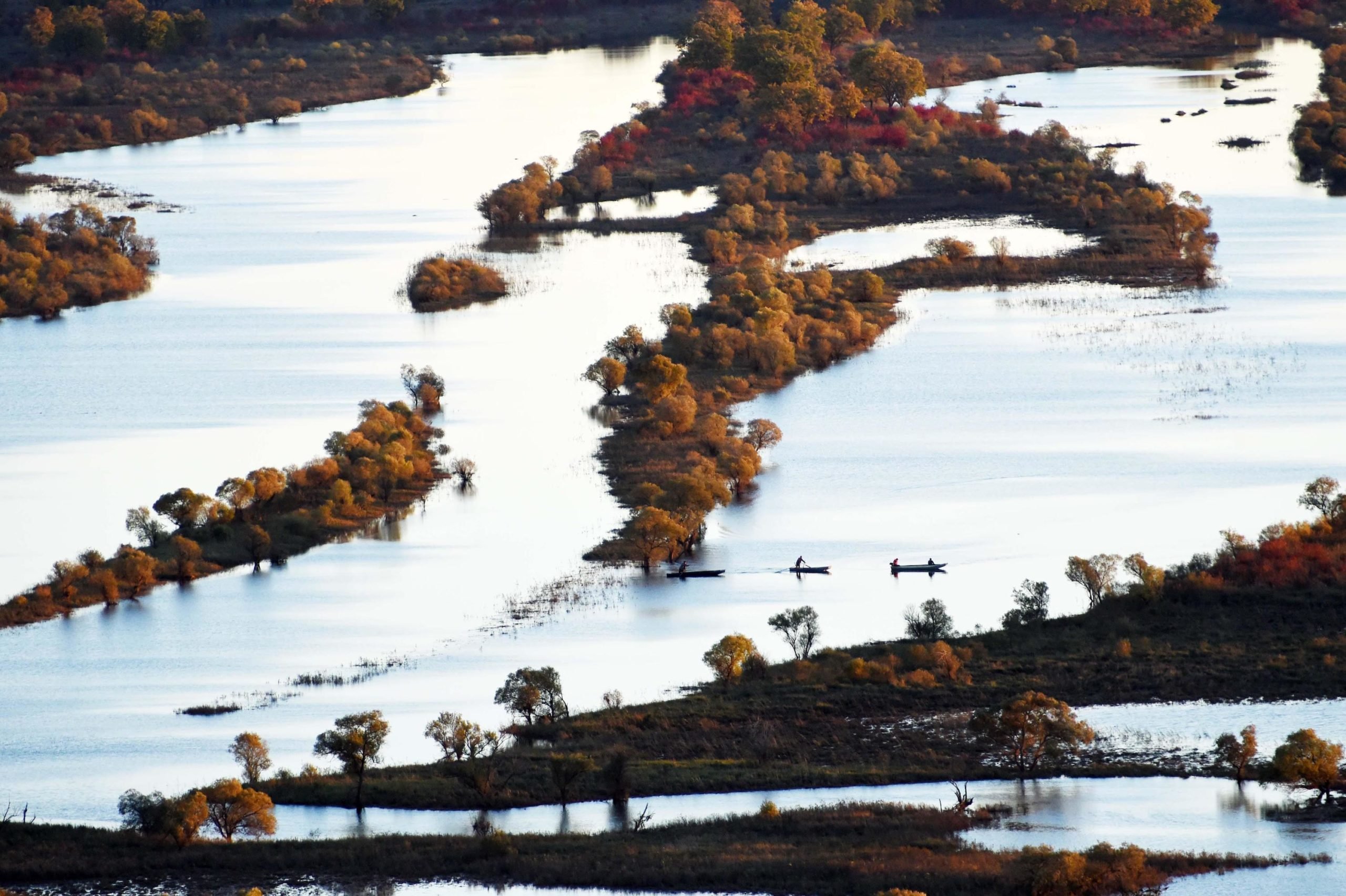 <p>Zhenbao Island wetland in Heilongjiang (Image: Wang Jianwei / Alamy)</p>