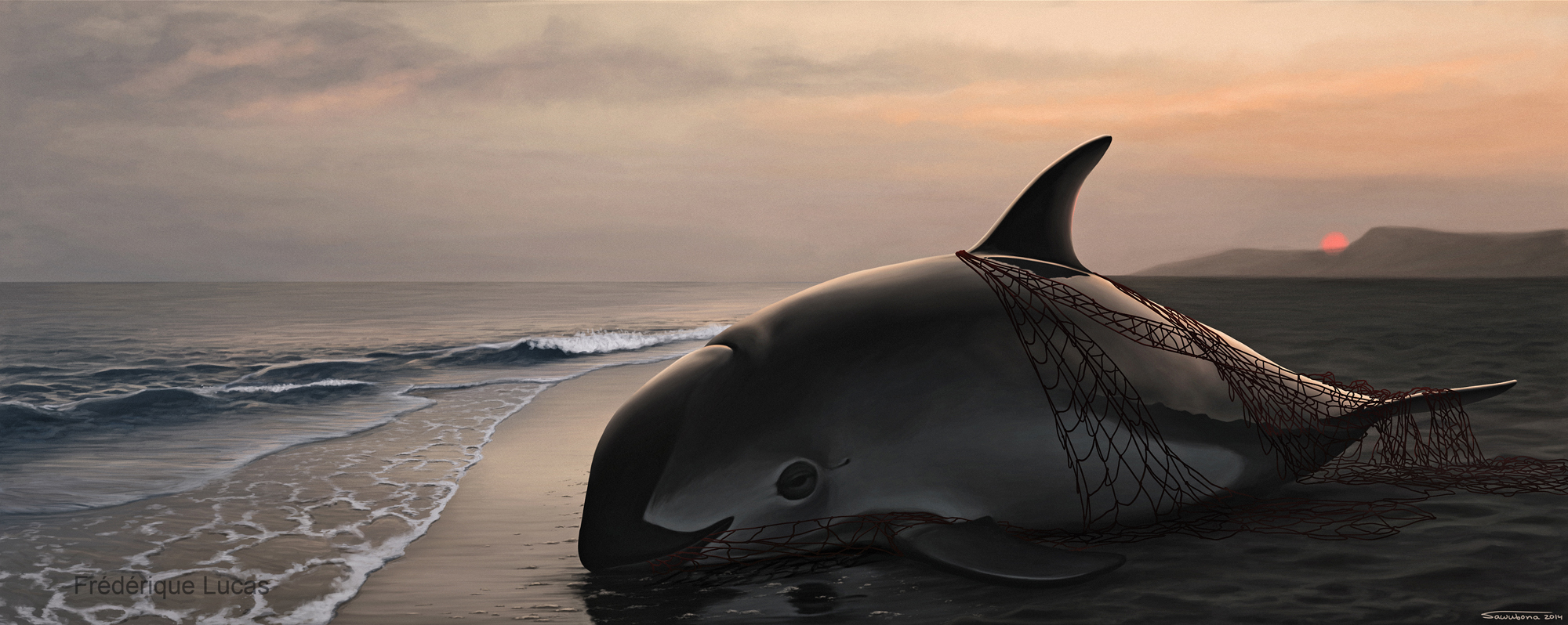 <p>Hunted to the brink of extinction, only sixteen vaquita porpoises are thought to remain (Illustration by Frédérique Lucas)​</p>