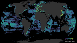 <p>来自220亿个自动识别系统的卫星数据显示2016年全球捕鱼活动地图。(图片来源: <a href="http://globalfishingwatch.com/" target="_blank" rel="noopener" data-saferedirecturl="https://www.google.com/url?hl=en&amp;q=http://globalfishingwatch.com&amp;source=gmail&amp;ust=1519985523213000&amp;usg=AFQjCNEchFHDtMpo6zvfFRGBy2fIkr8qkQ">Global Fishing Watch</a>)</p>
