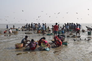 Bangladesh fisheries