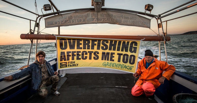 <p>Green groups say subsidies for fishing are driving stocks to the edge of collapse (Image: <a href="https://media.greenpeace.org/CS.aspx?VP3=SearchResult&amp;ITEMID=27MZIF3IYXF4&amp;RW=1280&amp;RH=558">Greenpeace</a>)</p>