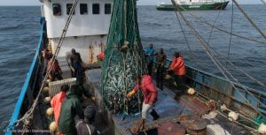<p>Guinea-Bissau fishery officers apprehend Chinese fishing vessel Yi Feng 08 for inadequate identification markings. (Image: <a href="https://media.greenpeace.org/archive/Arrest-of-Chinese-Fishing-Vessel-in-Guinea-Bissau-27MZIFJJ7PTG1.html">Pierre Gleizes / Greenpeace</a>)</p>