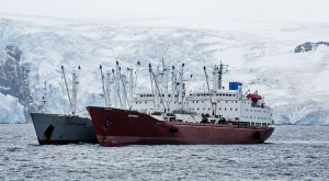<p>(Image: <a href="https://media.greenpeace.org/archive/Reefer-Vessels-Skyfrost-and-Pamyat-Ilicha-in-the-Antarctic-27MZIFJXMTMTM.html">Paul Hilton / Greenpeace</a>)</p>
