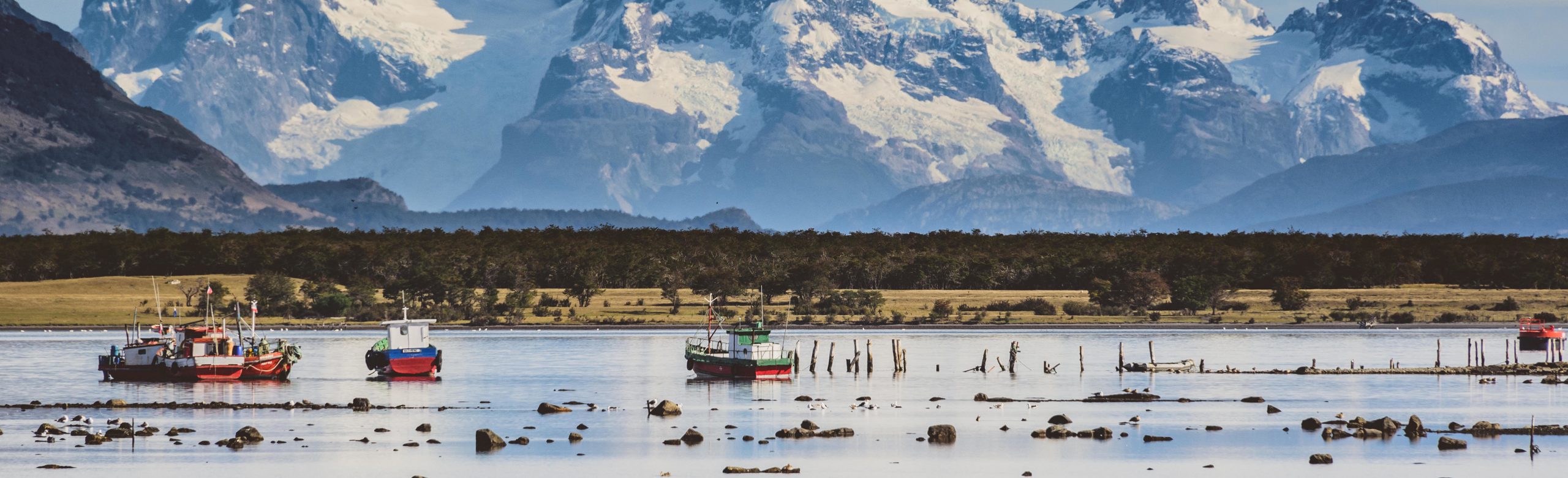 <p>(Image: <a class="cursor-pointer copyrightlink dark-navy" href="https://www.alamy.com/stock-photo-puerto-natales-harbour-in-front-of-snowy-mountainscape-145336096.html?pv=1&amp;stamp=2&amp;imageid=369126E0-3CD5-4BA3-B983-DD39A50DA173&amp;p=315735&amp;n=0&amp;orientation=0&amp;pn=1&amp;searchtype=0&amp;IsFromSearch=1&amp;srch=foo%3dbar%26st%3d0%26pn%3d1%26ps%3d100%26sortby%3d2%26resultview%3dsortbyPopular%26npgs%3d0%26qt%3dchilean%2520marine%26qt_raw%3dchilean%2520marine%26lic%3d3%26mr%3d0%26pr%3d0%26ot%3d0%26creative%3d%26ag%3d0%26hc%3d0%26pc%3d%26blackwhite%3d%26cutout%3d%26tbar%3d1%26et%3d0x000000000000000000000%26vp%3d0%26loc%3d0%26imgt%3d0%26dtfr%3d%26dtto%3d%26size%3d0xFF%26archive%3d1%26groupid%3d%26pseudoid%3d199331%26a%3d%26cdid%3d%26cdsrt%3d%26name%3d%26qn%3d%26apalib%3d%26apalic%3d%26lightbox%3d%26gname%3d%26gtype%3d%26xstx%3d0%26simid%3d%26saveQry%3d%26editorial%3d1%26nu%3d%26t%3d%26edoptin%3d%26customgeoip%3dGB%26cap%3d1%26cbstore%3d1%26vd%3d0%26lb%3d%26fi%3d2%26edrf%3d0%26ispremium%3d1%26flip%3d0%26pl%3d"><span id="automationNormalName">Andrew Coleman</span></a> )</p>