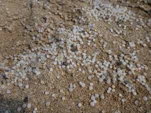 <p>(Image: <a href="https://commons.wikimedia.org/wiki/File:Plastic_pellets_from_ship_wreck_at_beach_near_Abu_Ghusun.JPG">Wusel007</a>)</p>