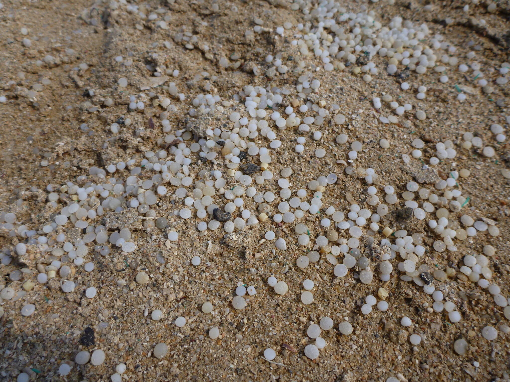 <p>图片来源：<a href="https://commons.wikimedia.org/wiki/File:Plastic_pellets_from_ship_wreck_at_beach_near_Abu_Ghusun.JPG">Wusel007</a></p>