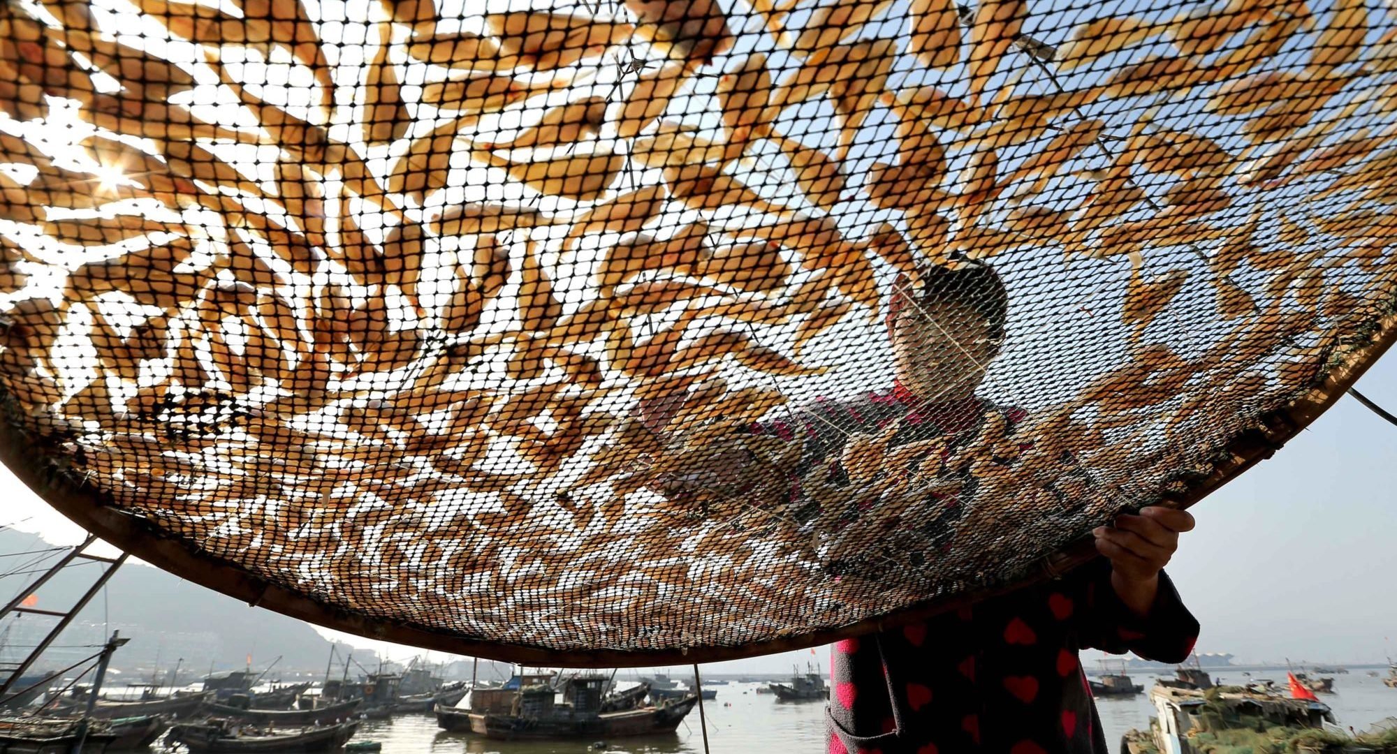 <p>A fisher drying her catch in Jiangsu province (Image: Alamy)</p>