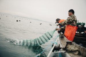 <p>渤海是进行近海养殖转型尝试的重要区域。图片来源：刘禹扬 / 中外对话</p>