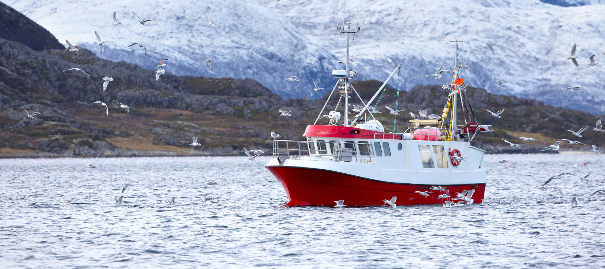 <p>（图片来源：<a href="http://www.thinkstockphotos.co.uk/image/stock-photo-fishing-boat-at-sea-in-arctic-environment/507840510">kjekol</a>）</p>